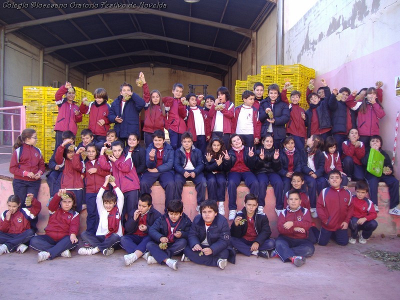 Visita al almacen de uva 10